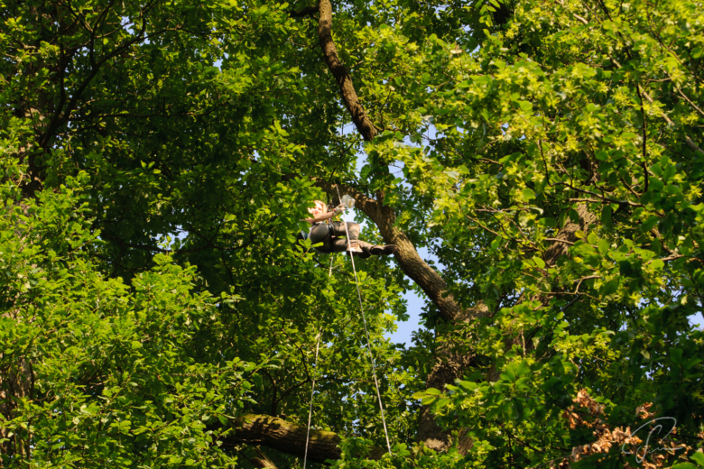 Geocaching-Sieling-Galerie-PSi -DSC_0420